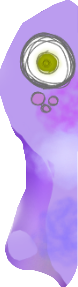 20180122_032552